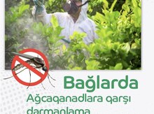 Bağlarda dərmanlama xidməti