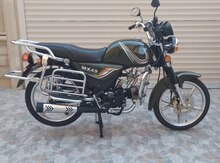 Motosiklet Freedom MX49, 2024 il
