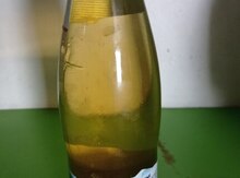 Abqora 