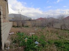 2.5 sot torpaq sahəsi, Sumqayıt ş.