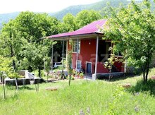 Bağ evi kirayə verilir, Şəki ş.