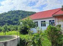 Həyət evi kirayə verilir, Qəbələ ş.