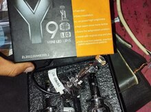 Lupa led