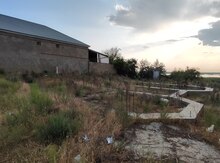 5 sot torpaq sahəsi, Şirvan ş.