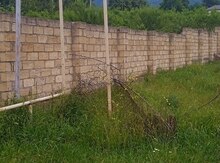 10 sot torpaq sahəsi, Şəhriyar kəndii