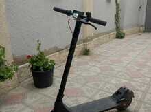 Skuter icarəsi