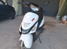 X-road Sunshine, 2022 il