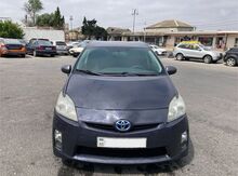 Toyota Prius, 2010 il