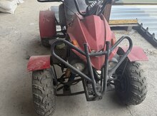 Kvadrosikl ATV, 2014 il