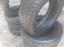 Şinlər R15