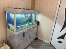 Akvarium