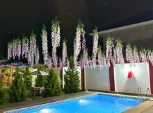 Bağ evi kirayə verilir, İsmayıllı r.