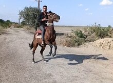 At