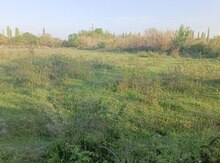 33 sot torpaq sahəsi, Kürdəmir qəs.