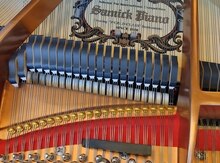 Piano, royal köklənməsi və təmiri