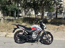 Motosiklet, 2019 il 