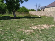 5 sot torpaq sahəsi, Gəncə ş.