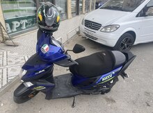 Skuter, 2019 il