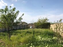 4 sot torpaq sahəsi, Maştağa qəs.
