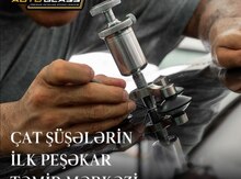 Çat şüşələrin təmiri