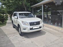 Toyota Prado, 2010 il