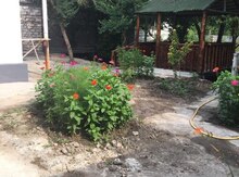 Bağ evi kirayə verilir, Nabran qəs.