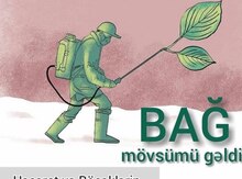 Bağ evlərinin həşəratlara qarşı dərmanlanması