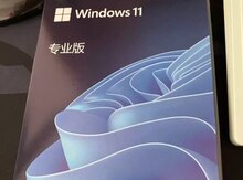 Lisenziya "Windows 11 Pro"