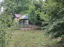 Bağ evi, Oğuz r.