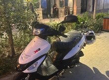 Moped, 2023 il