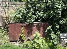 Su çəni