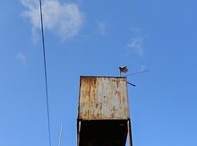 Su çəni
