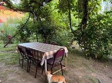 Həyət evi kirayə verilir, Quba r.