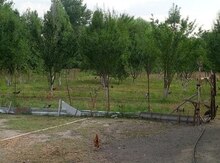 12 sot torpaq sahəsi, Bərdə r.