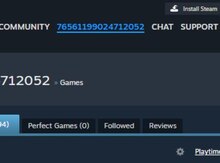 "Steam" oyunu