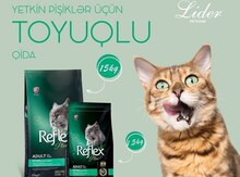 Pişik qidaları