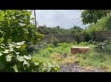 Bağ evi, Maqsudkent k.