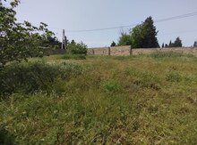 4 sot torpaq sahəsi, Məhəmmədi k.