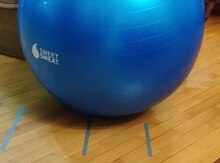Fitnes şarı