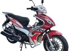 Moped, 2025 il