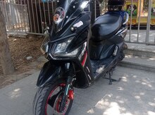 Moped, 2024 il