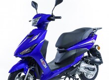 Moped icarəsi