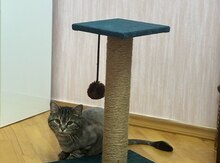 Когтеточка для кошек