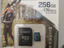 SD kart 256GB