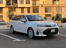 Toyota Corolla, 2019 il