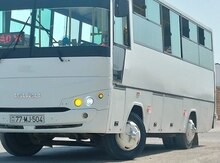 Avtobus "İsuzu", 2012 il