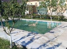 Bağ evi kirayə verilir, Qəbələ r.