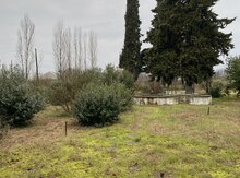 380 sot torpaq sahəsi, Astara r.