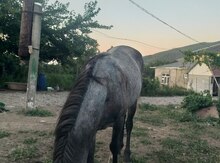 At 