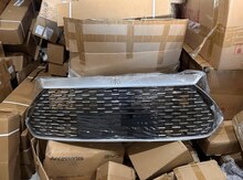 "BYD Qin Plus" radiator barmaqlığı